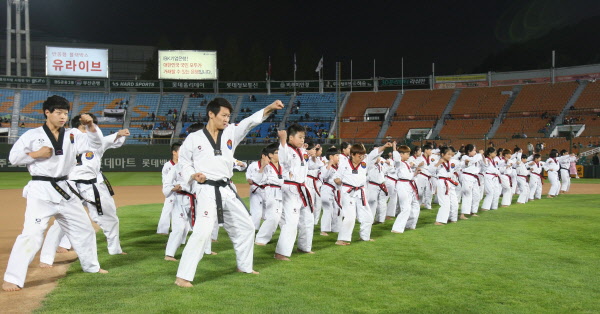 국가대표 태권도 시범단의 공연